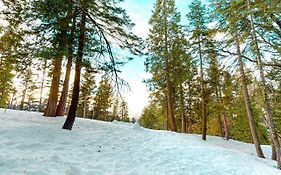 Forest Glen